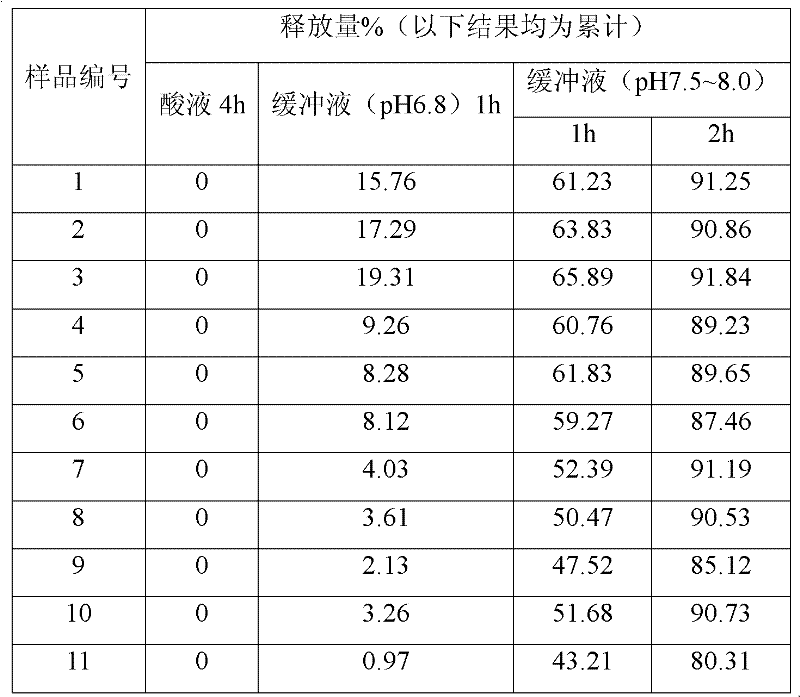 Leech colon targeted oral preparation and preparation method thereof