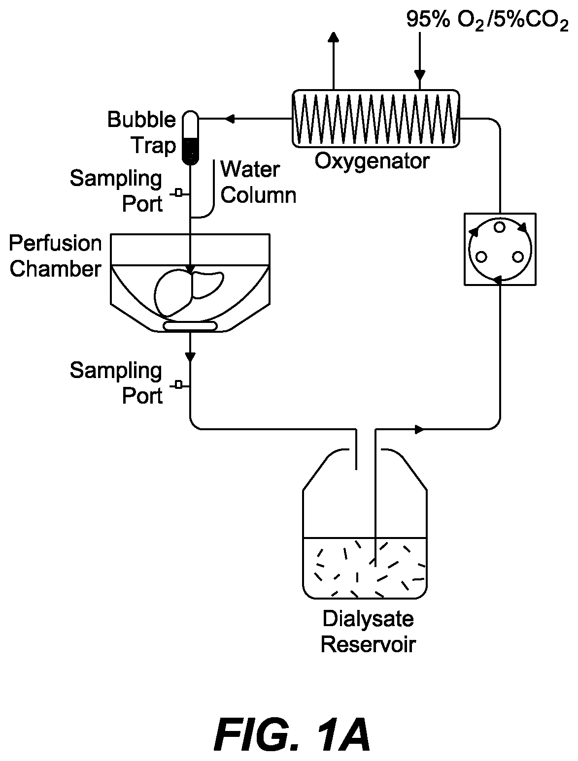 Methods and compositions for preserving tissues and organs