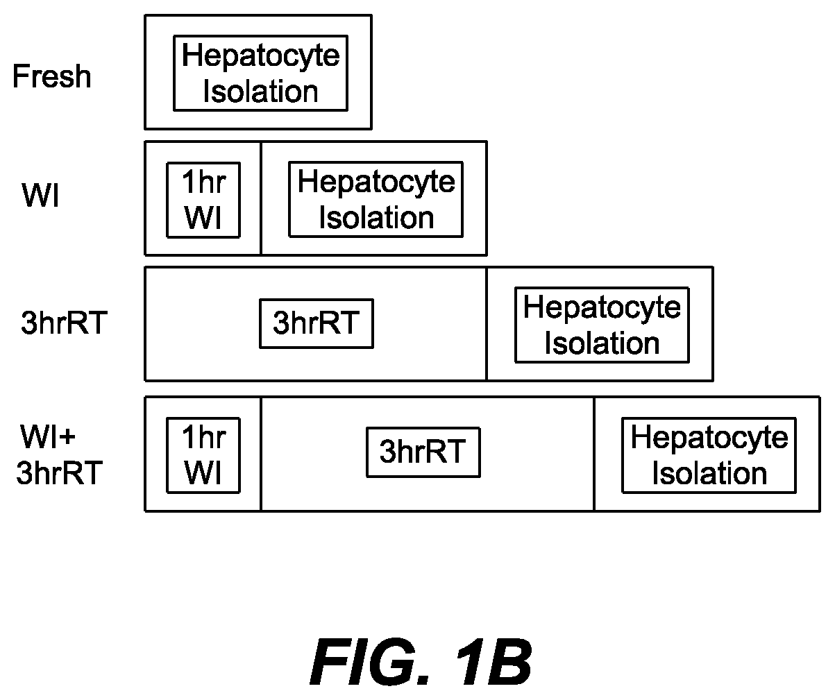 Methods and compositions for preserving tissues and organs