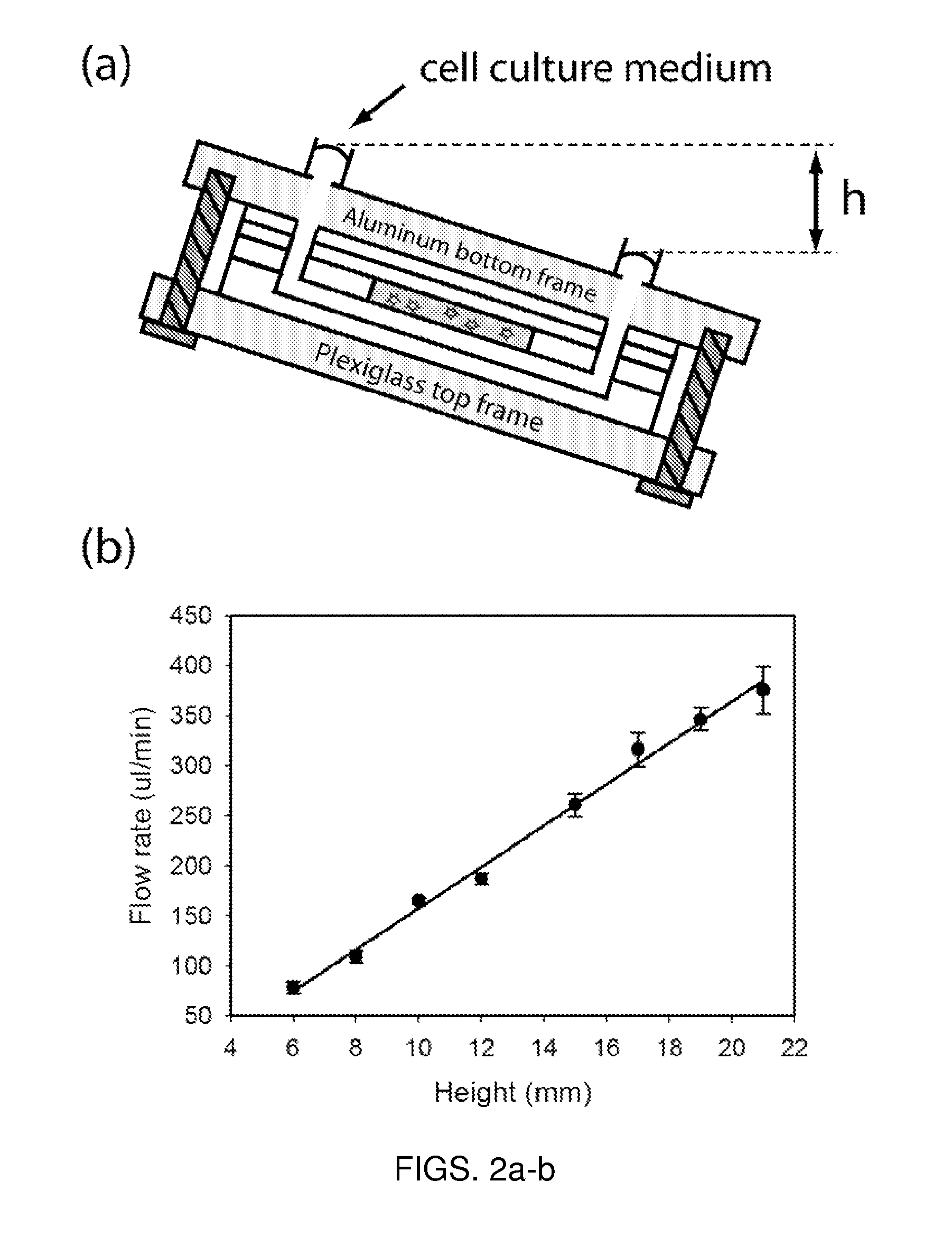 Microfluidic device for pharmacokinetic-pharmacodynamic study of drugs and uses thereof