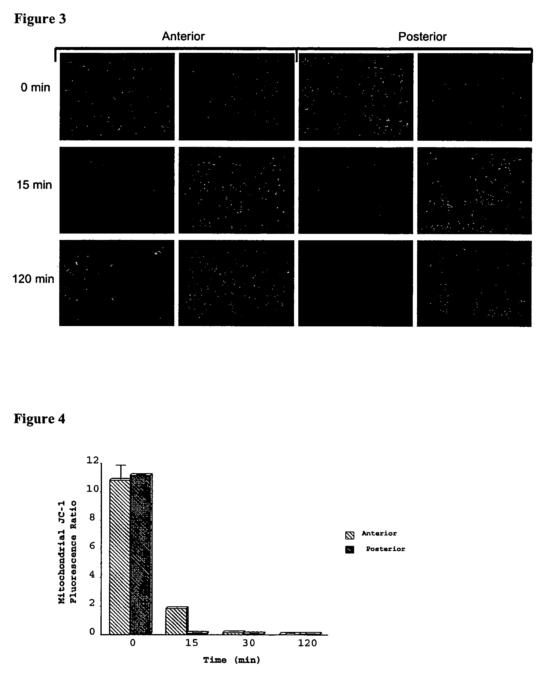 Compositions and methods for tissue preservation