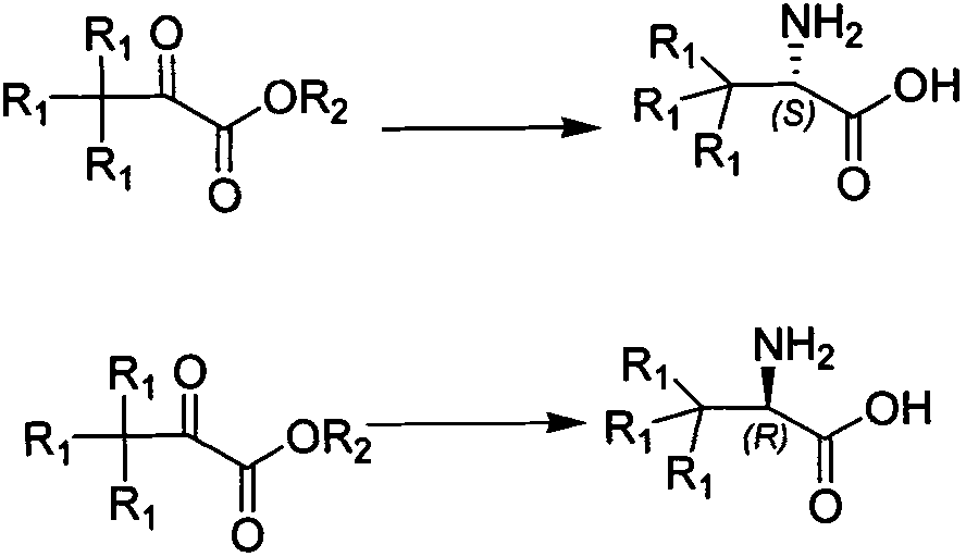 Synthesis method of chiral tert-leucine and final product obtained in method