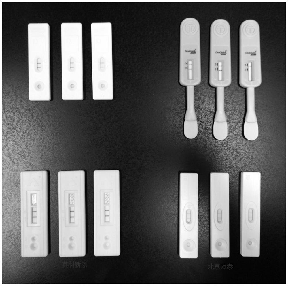 Hepatitis C virus antibody rapid test strips