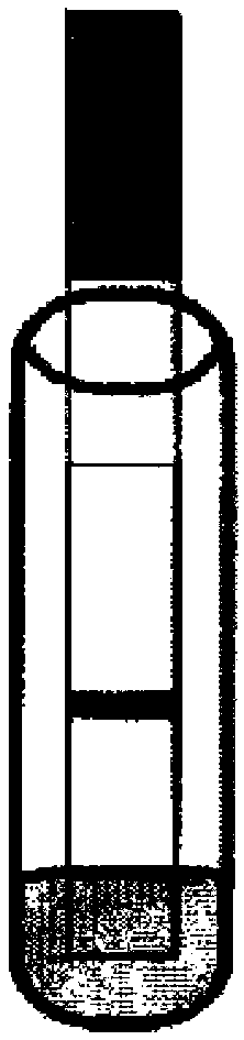 Influenza B virus IgA (immunoglobulin A) antibody immunofluorescence assay test strip and preparation method, detection method and application thereof