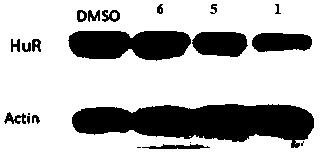 A kind of coumarin compound and its preparation method and application