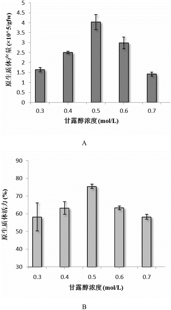 Tripterygium wilfordii protoplast separation and instantaneous conversion method