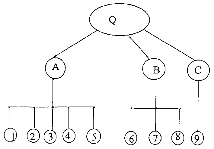 Three-dimensional anti-fake identification card and its anti-fake method