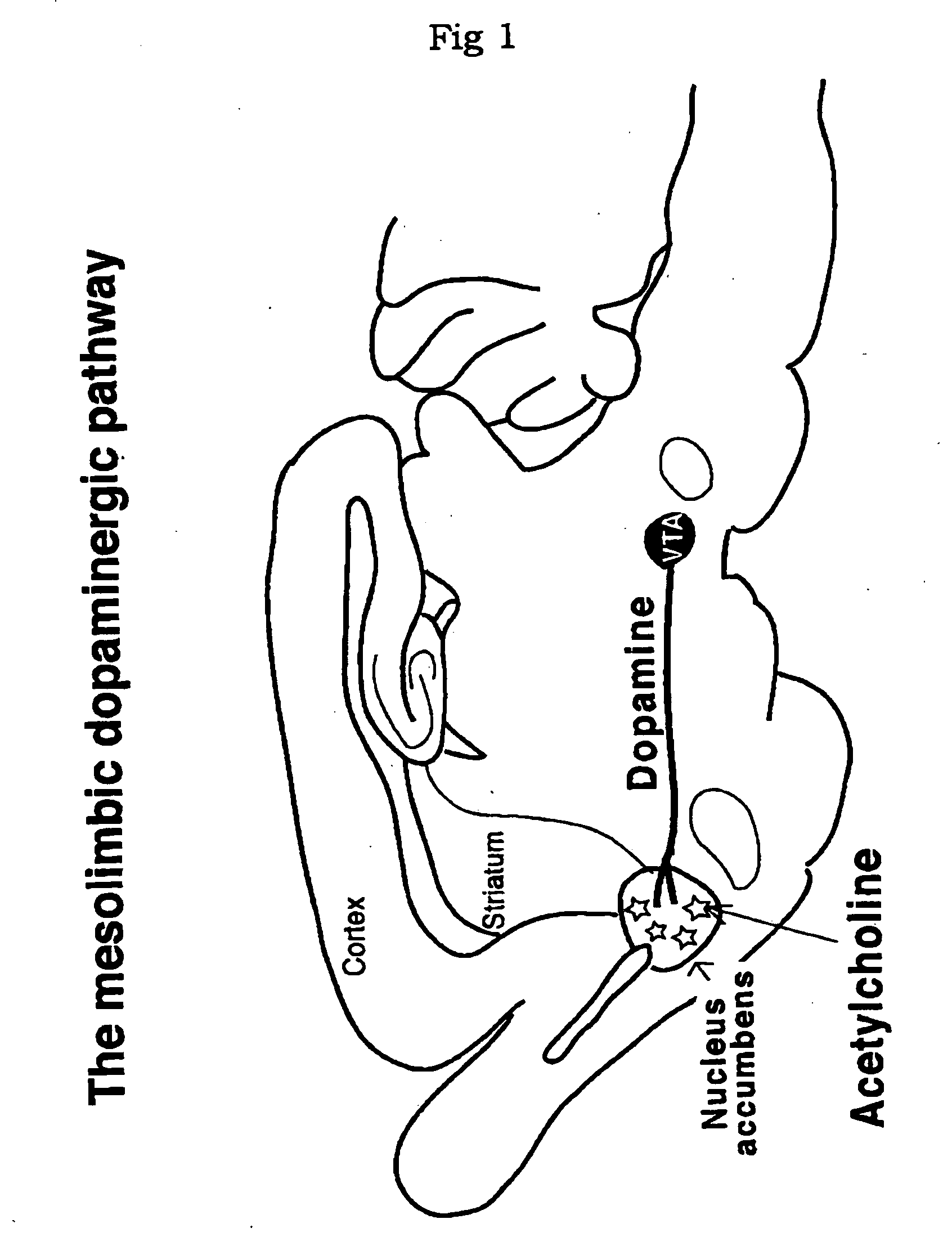 Pharmaceutical composition for treatment of drug dependence