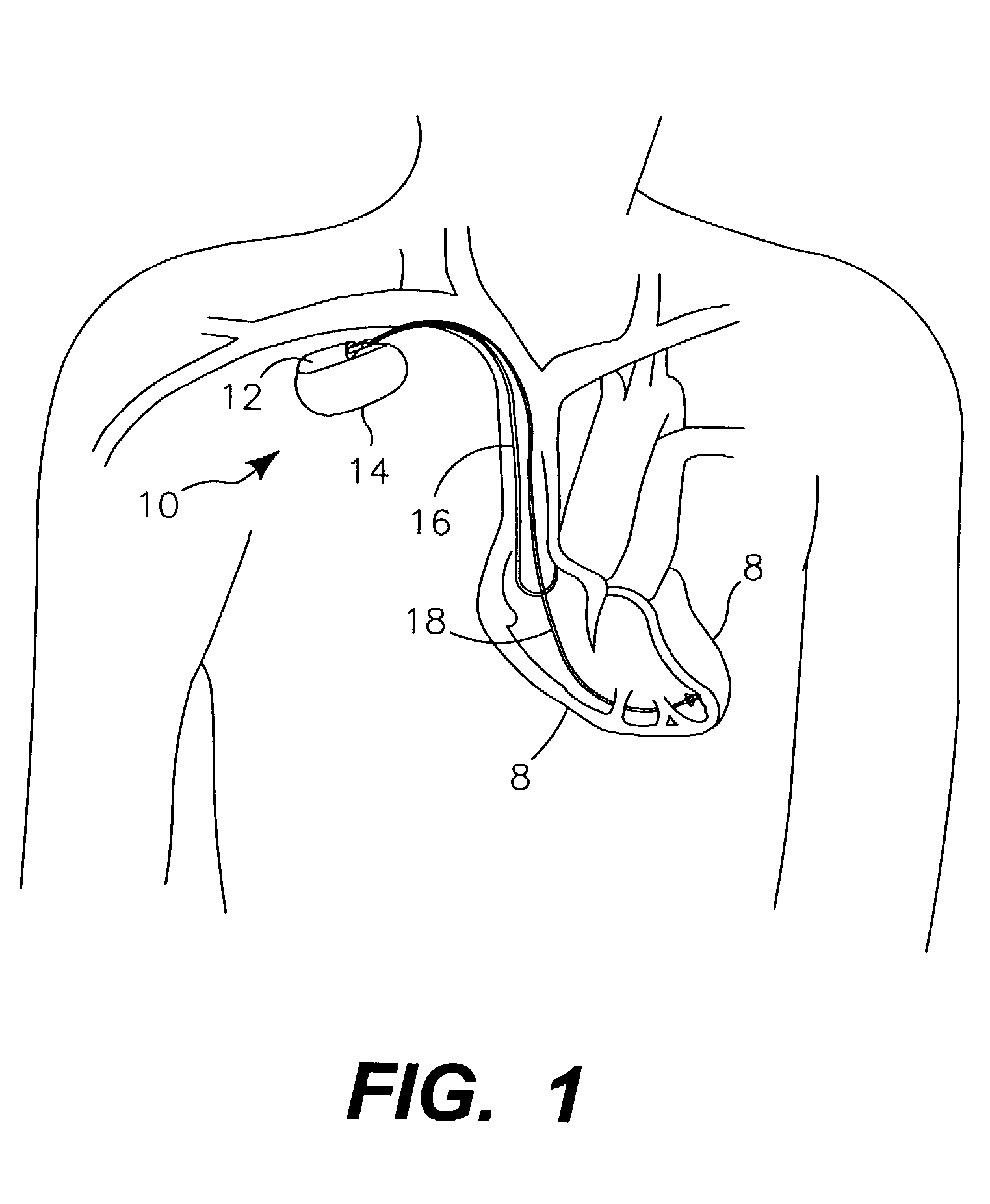 System and method for transmission of medical and like data from a patient to a dedicated internet website
