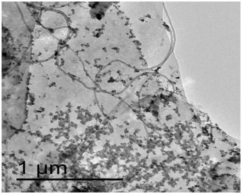 Modified activated carbon composite material for negative electrode of lead-carbon battery, preparation method of modified activated carbon composite material, and lead-carbon battery