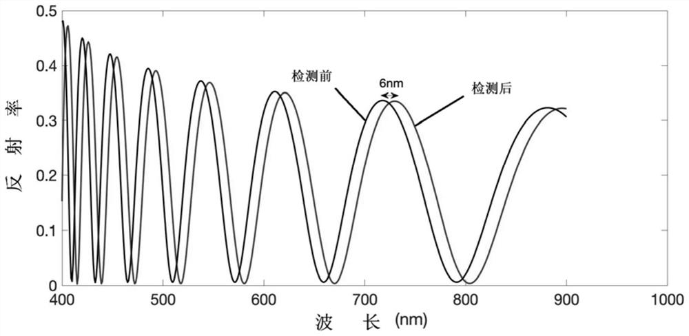 Optical biosensor and covid-19 virus detection device