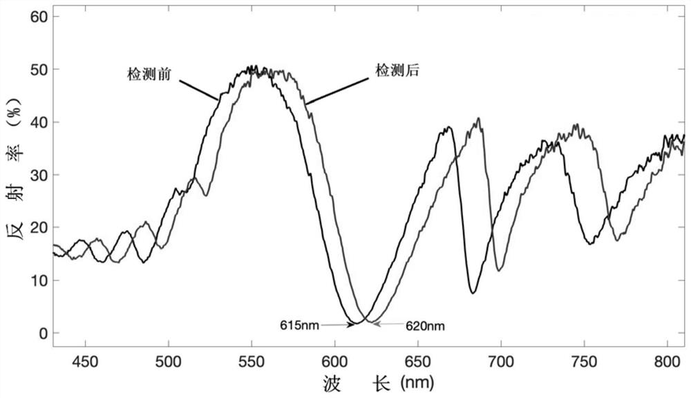 Optical biosensor and covid-19 virus detection device