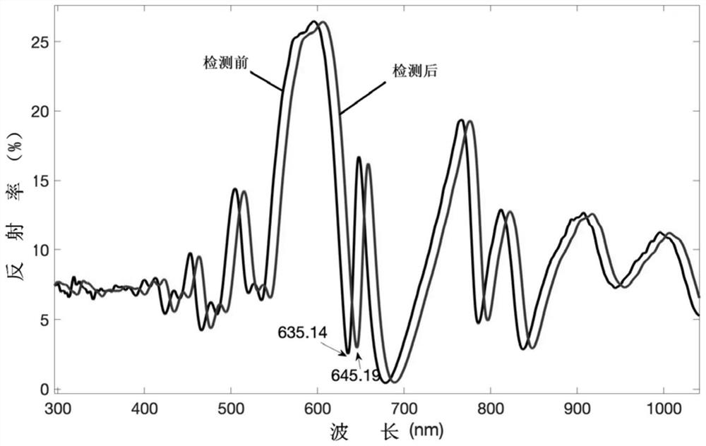 Optical biosensor and covid-19 virus detection device