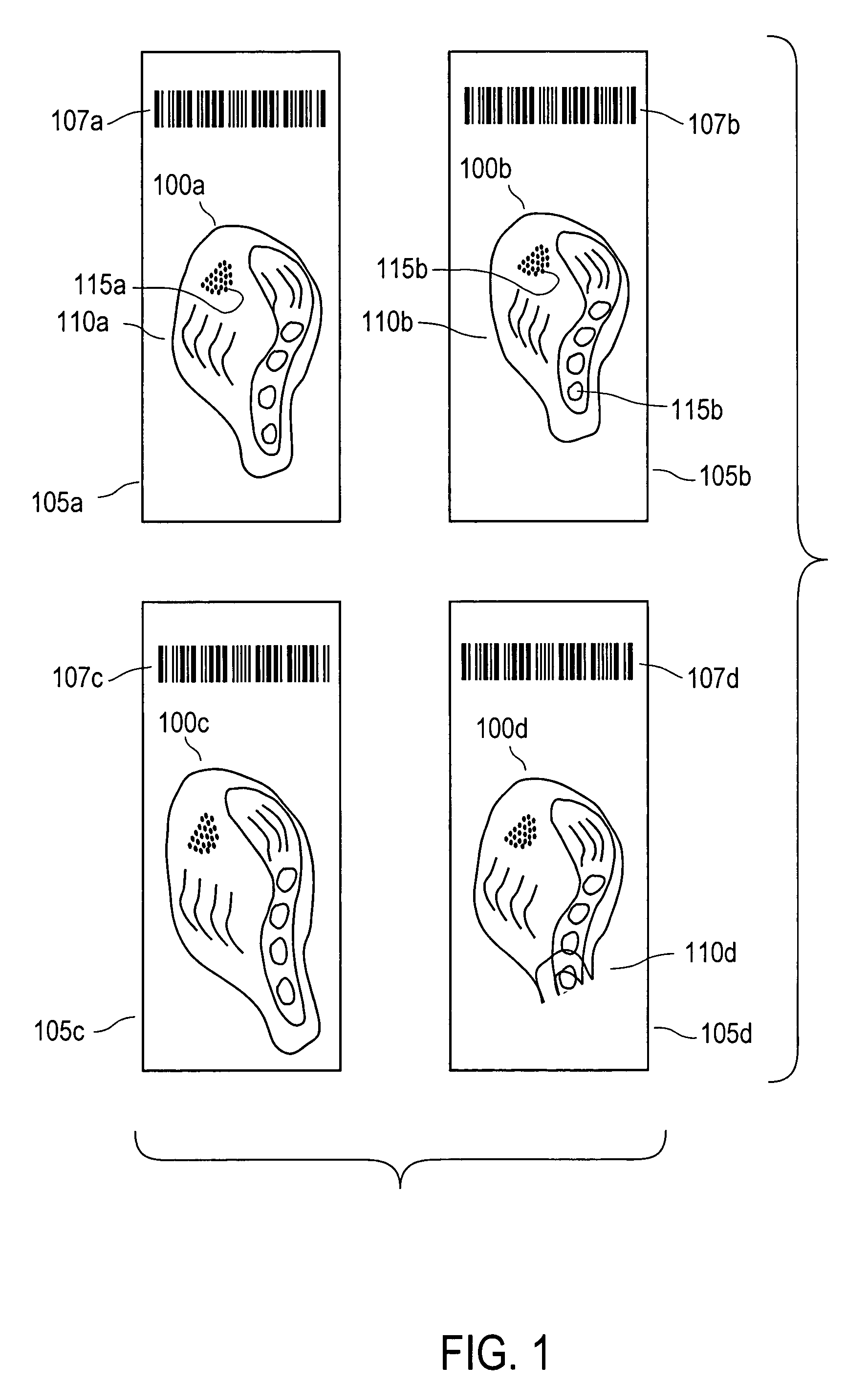 Linking of images to enable simultaneous viewing of multiple objects