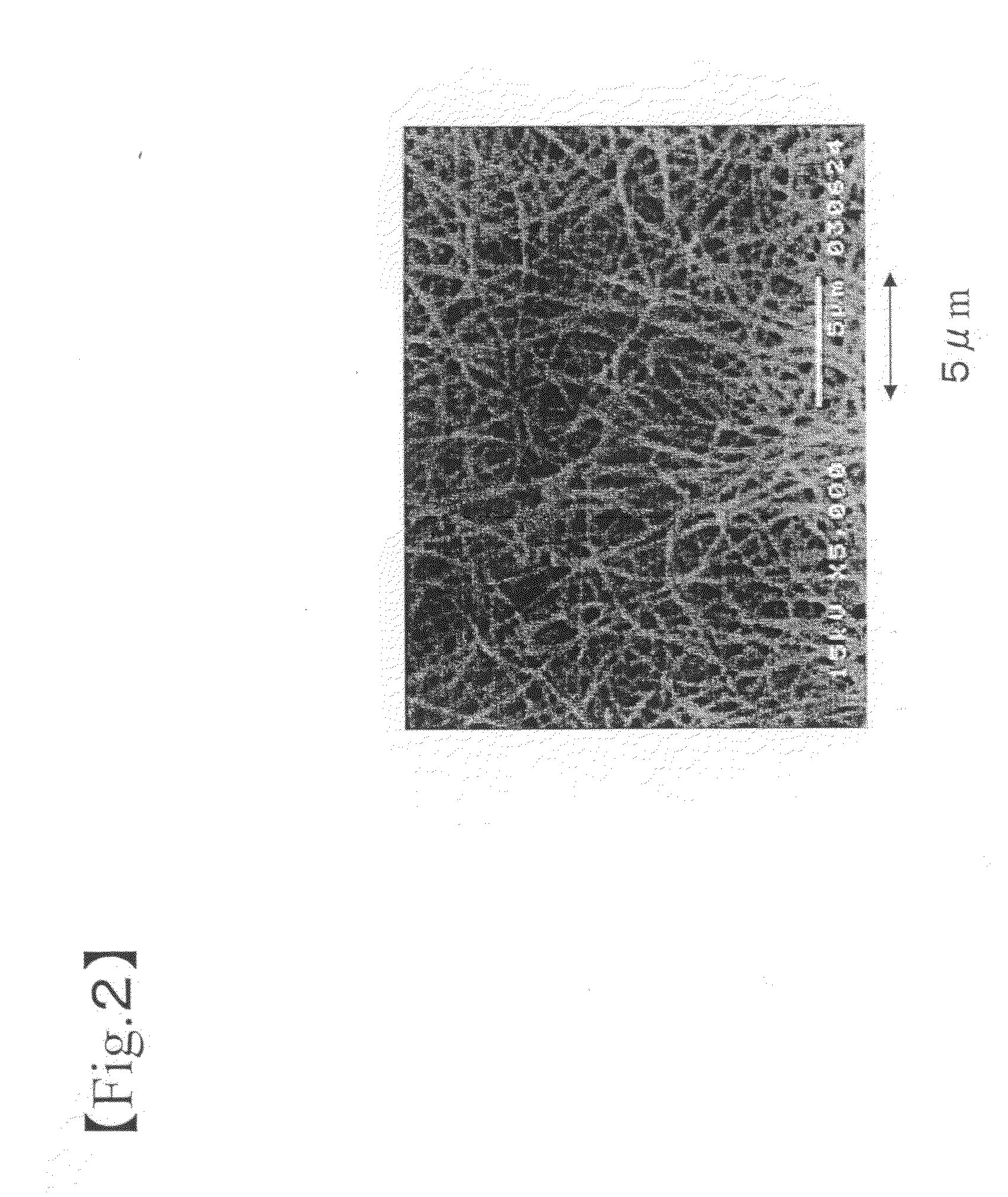 Spongelike Structure and Powder, As Well As Process for Producing the Same