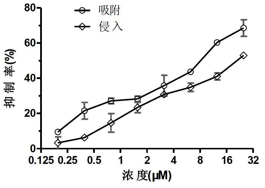 Application of punicalin in preparation of medicine for treating or preventing hepatitis C virus infection