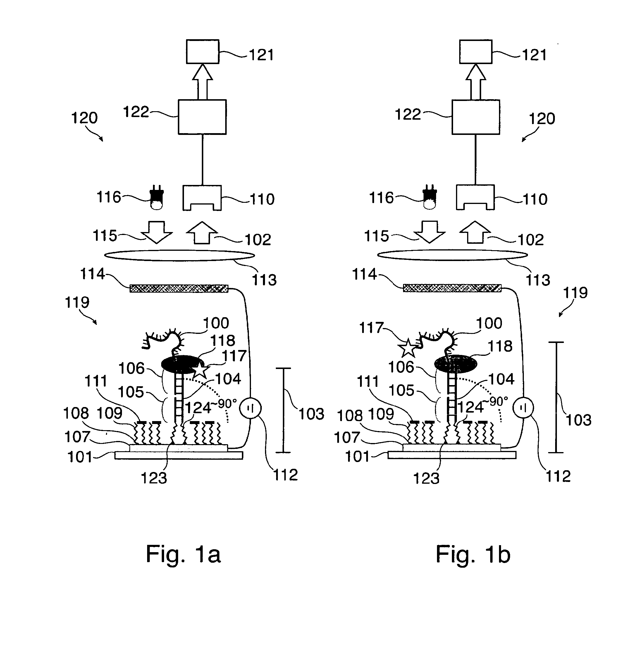 Method for sequencing a template nucleic acid immobilized on a substrate