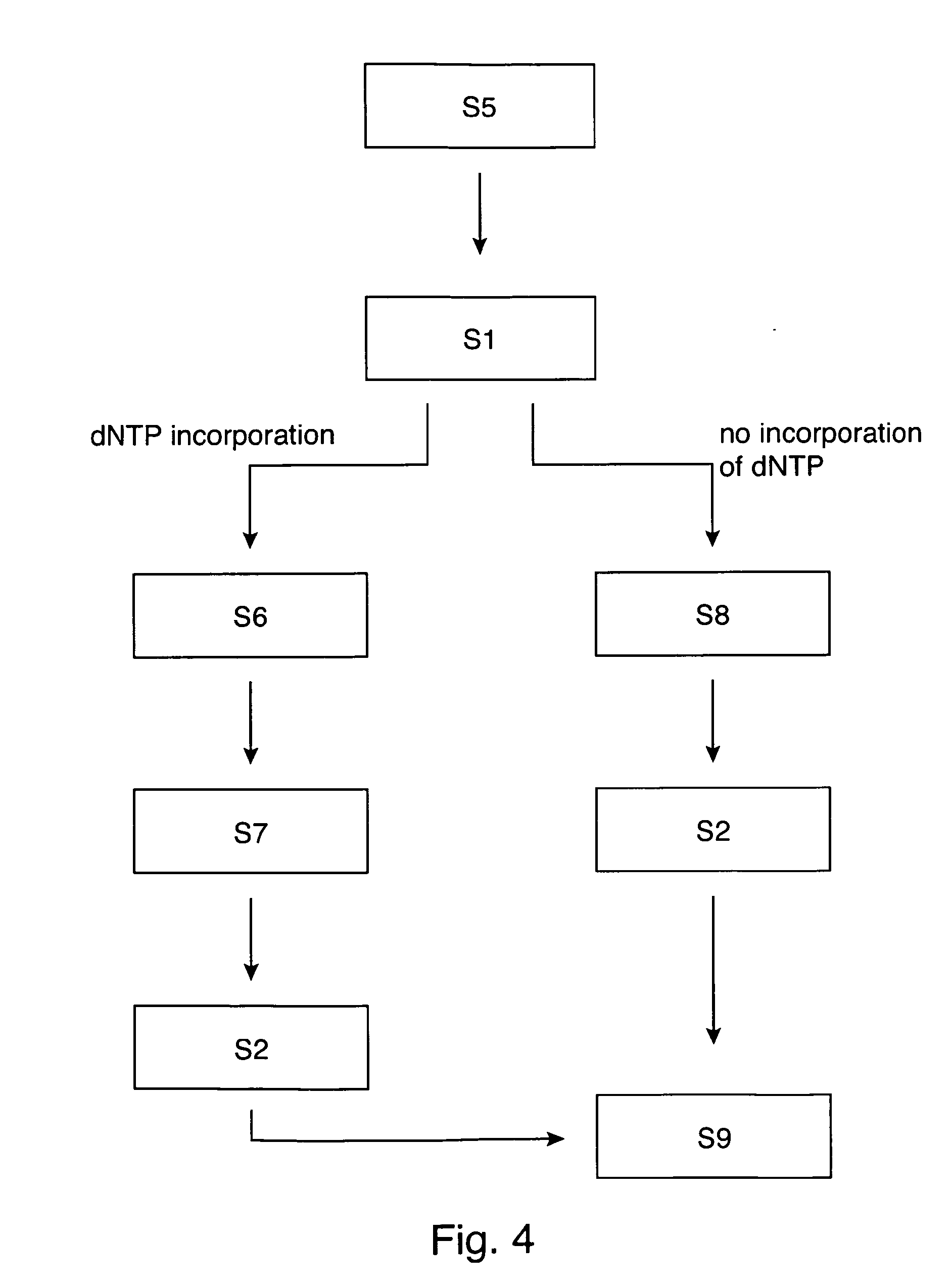 Method for sequencing a template nucleic acid immobilized on a substrate