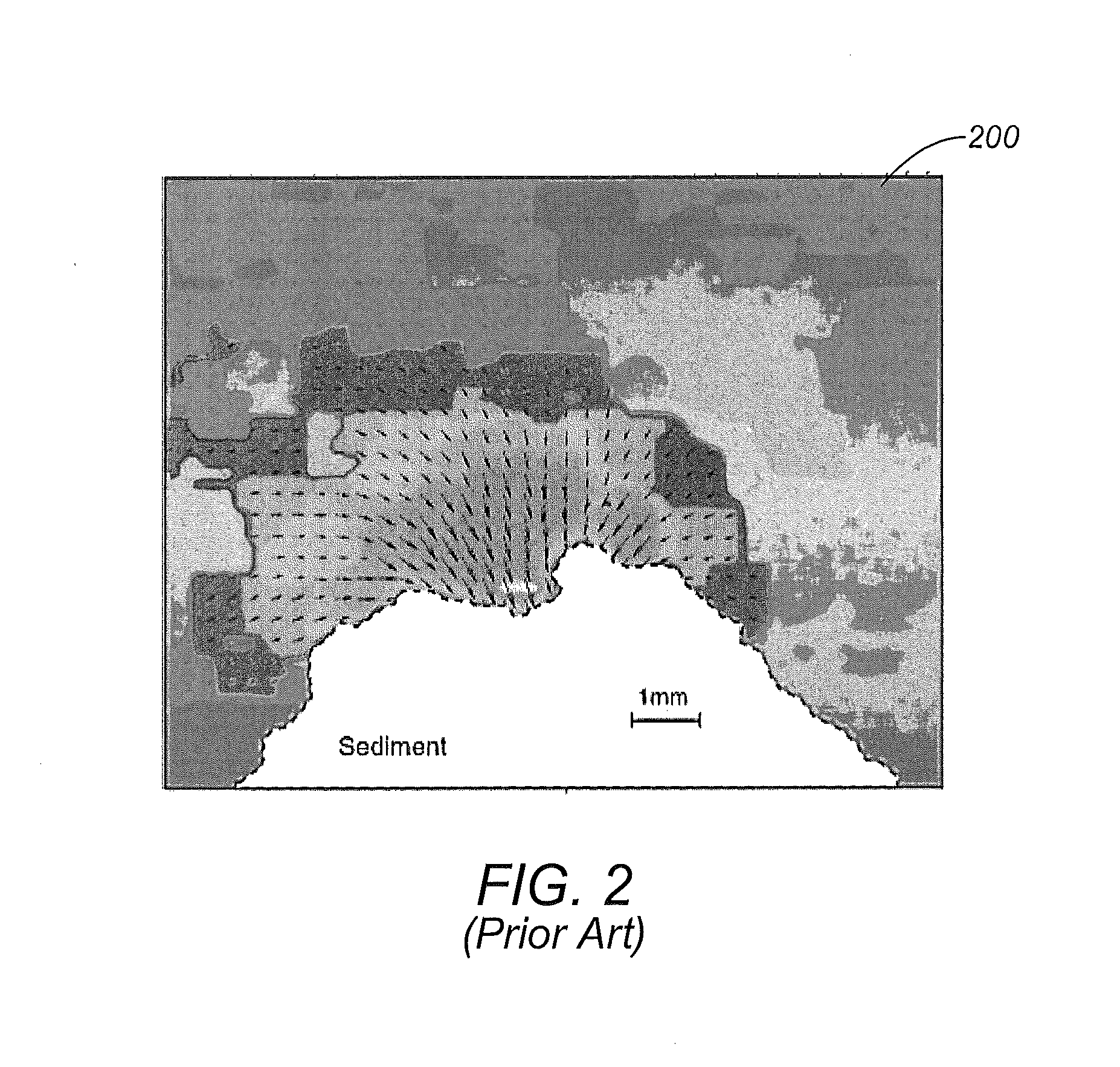 Systems and Methods for Assisted Property Modeling