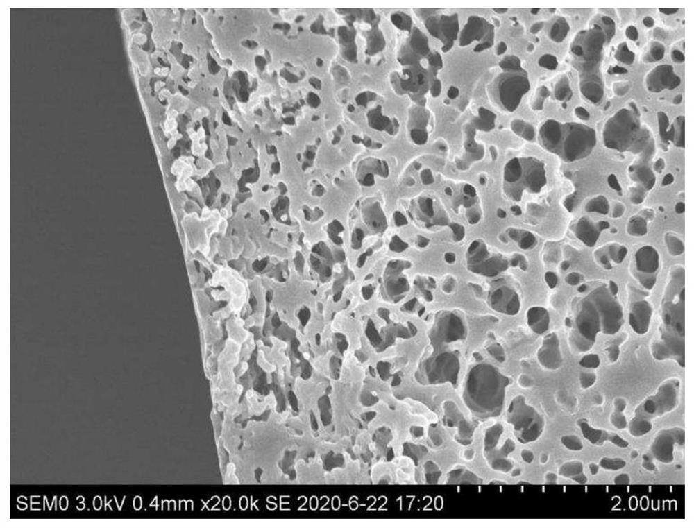 Asymmetric hydrophobic polyolefin hollow fiber membrane, preparation method and application thereof