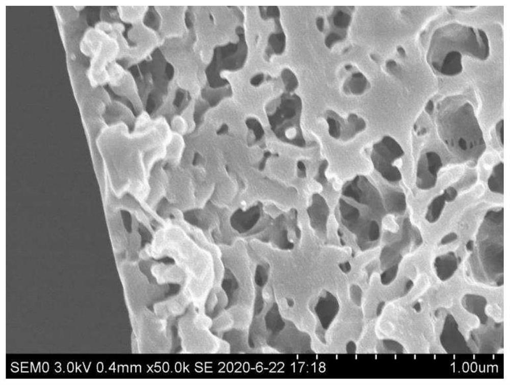 Asymmetric hydrophobic polyolefin hollow fiber membrane, preparation method and application thereof