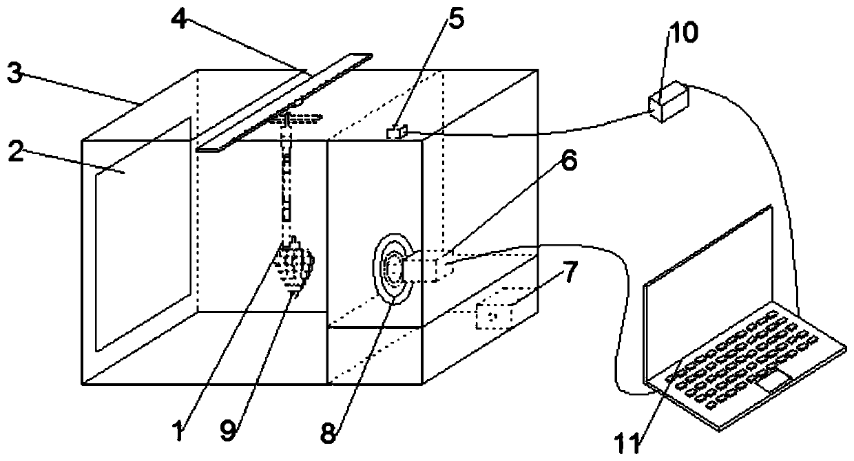 On-line visual inspection and classification device and method for red grape fruit powder