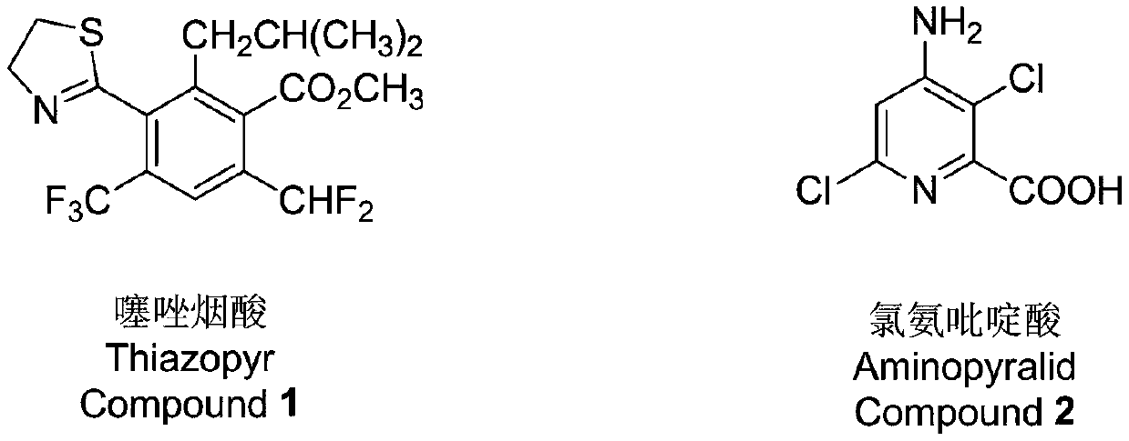 A kind of aryl bithiazole compound and application