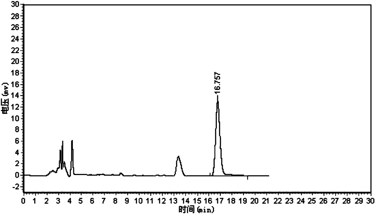 Processed product of red paeony and preparation method thereof