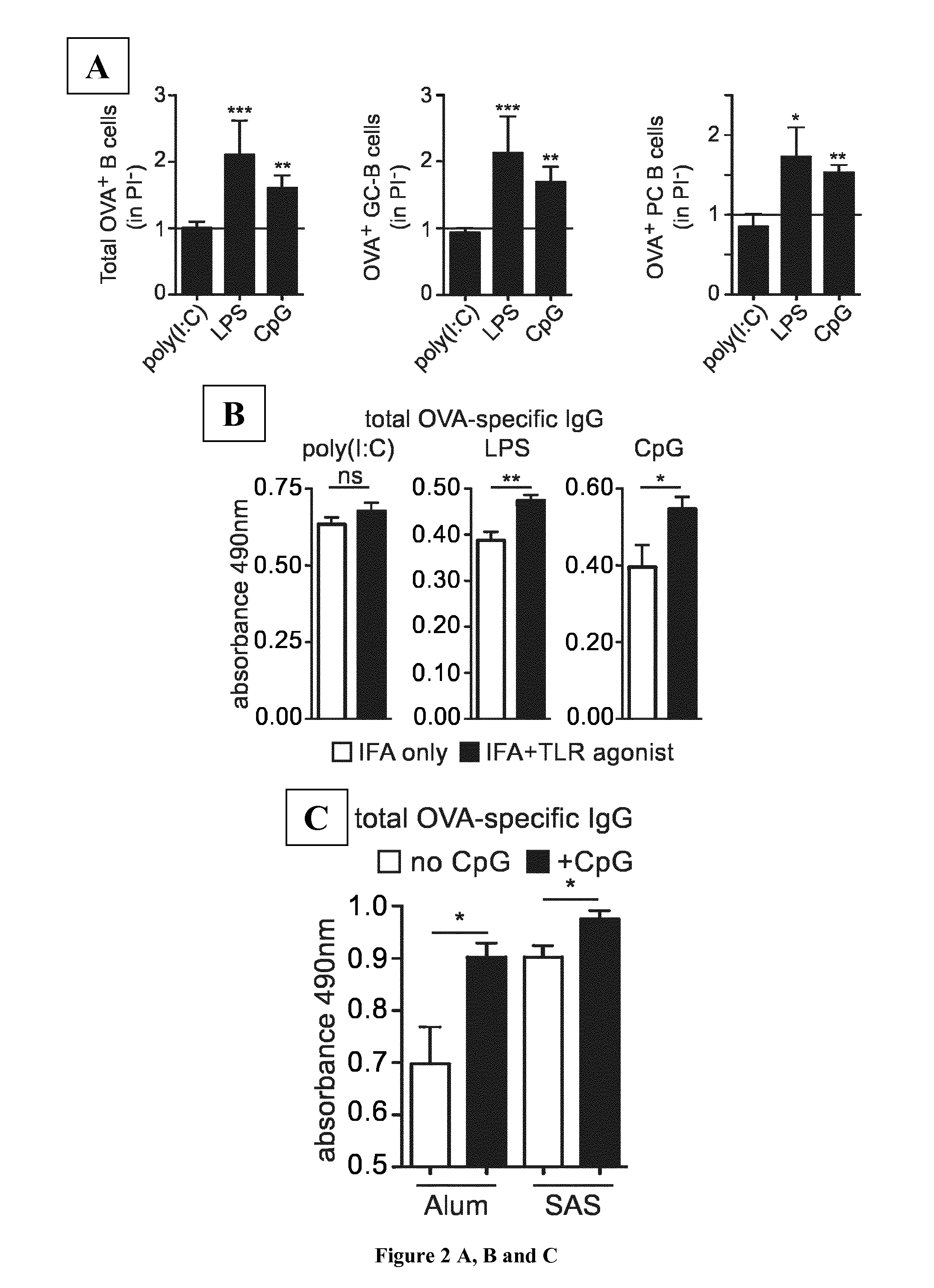 Immunoadjuvant Compositions and uses Thereof