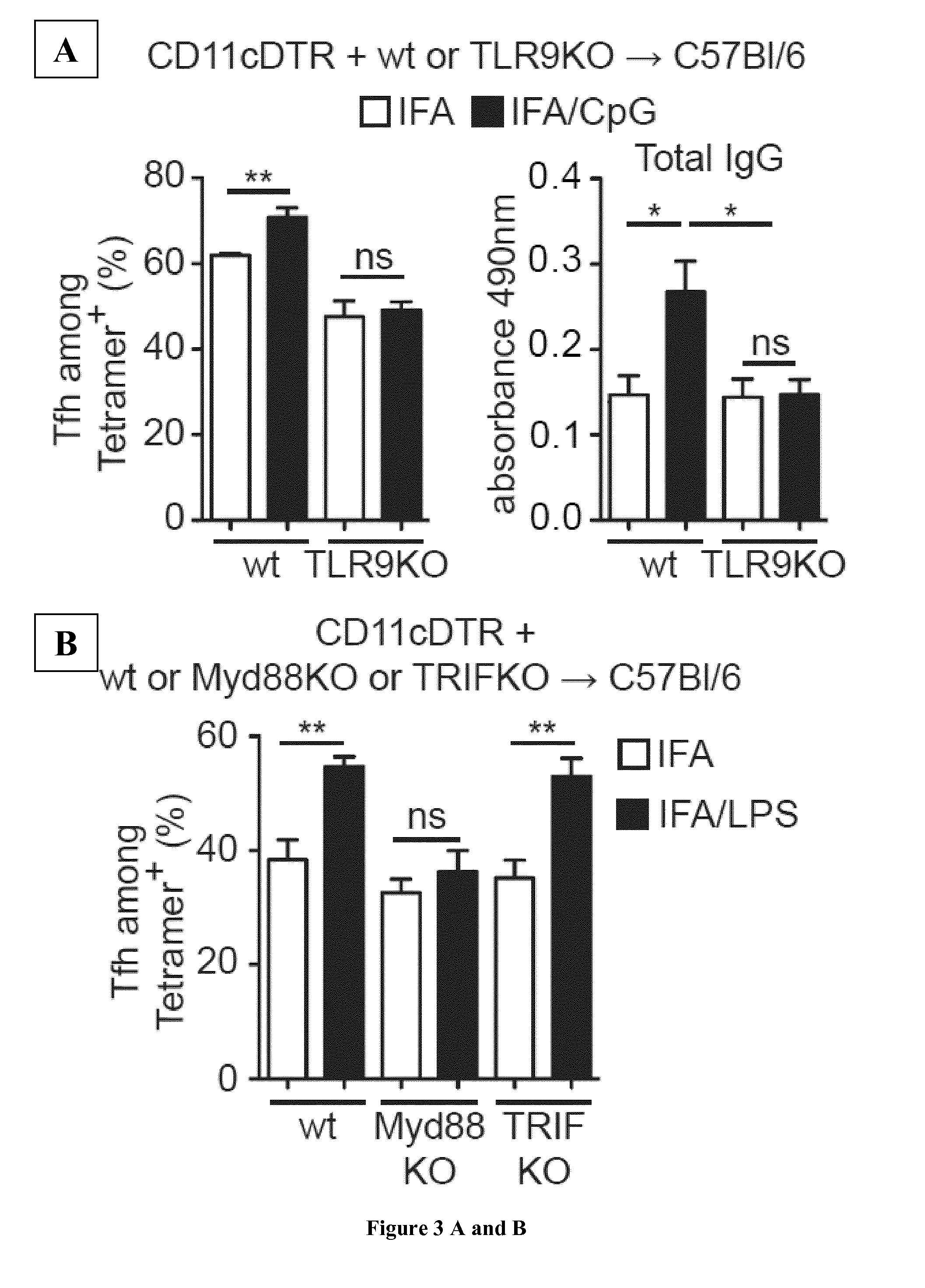 Immunoadjuvant Compositions and uses Thereof