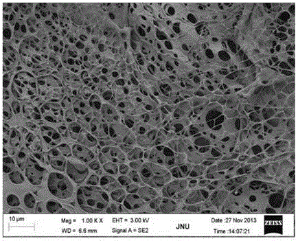 Tissue repair support and its preparation method and use