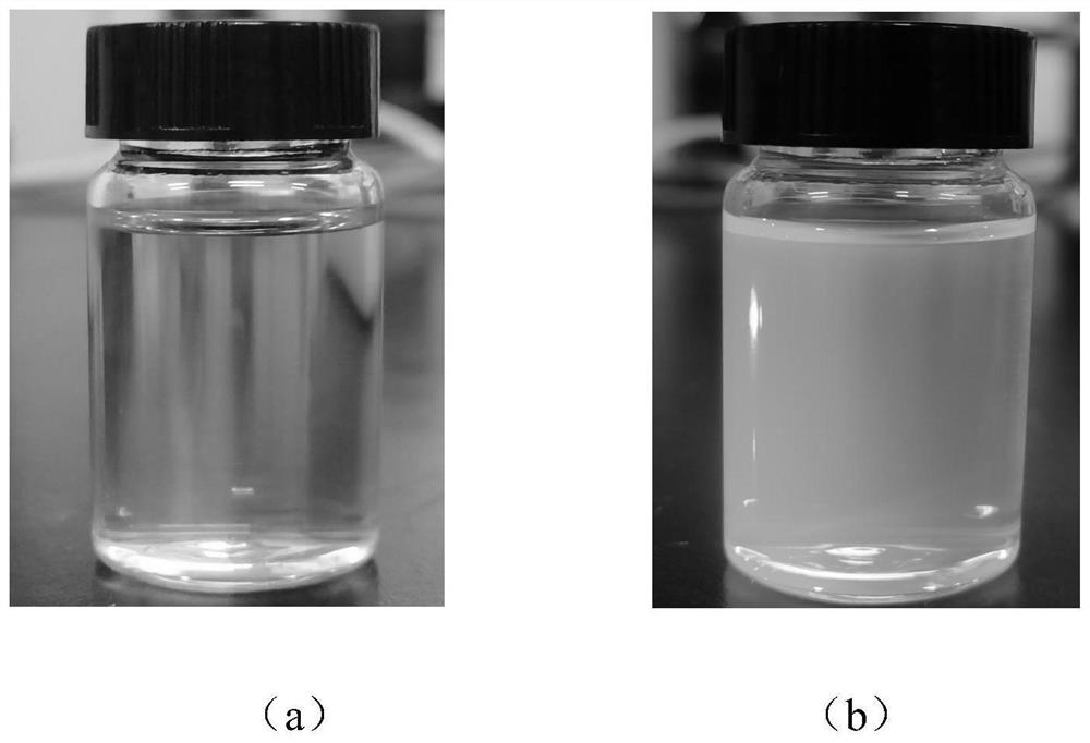 Carbon quantum dot fluorescent anti-forgery ink as well as preparation method and application thereof