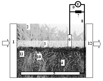 Device and method for reinforcing removal capacity of organic matters in wetland ecological system