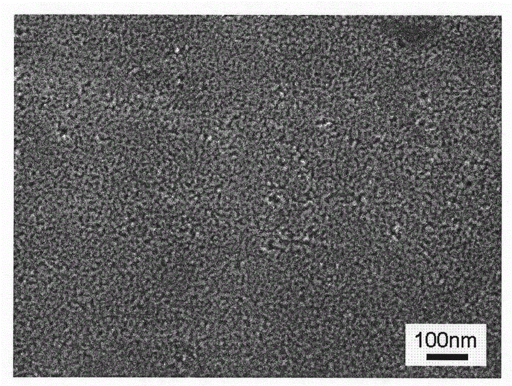 Nano porous alloy fuel battery catalyst and preparation method thereof