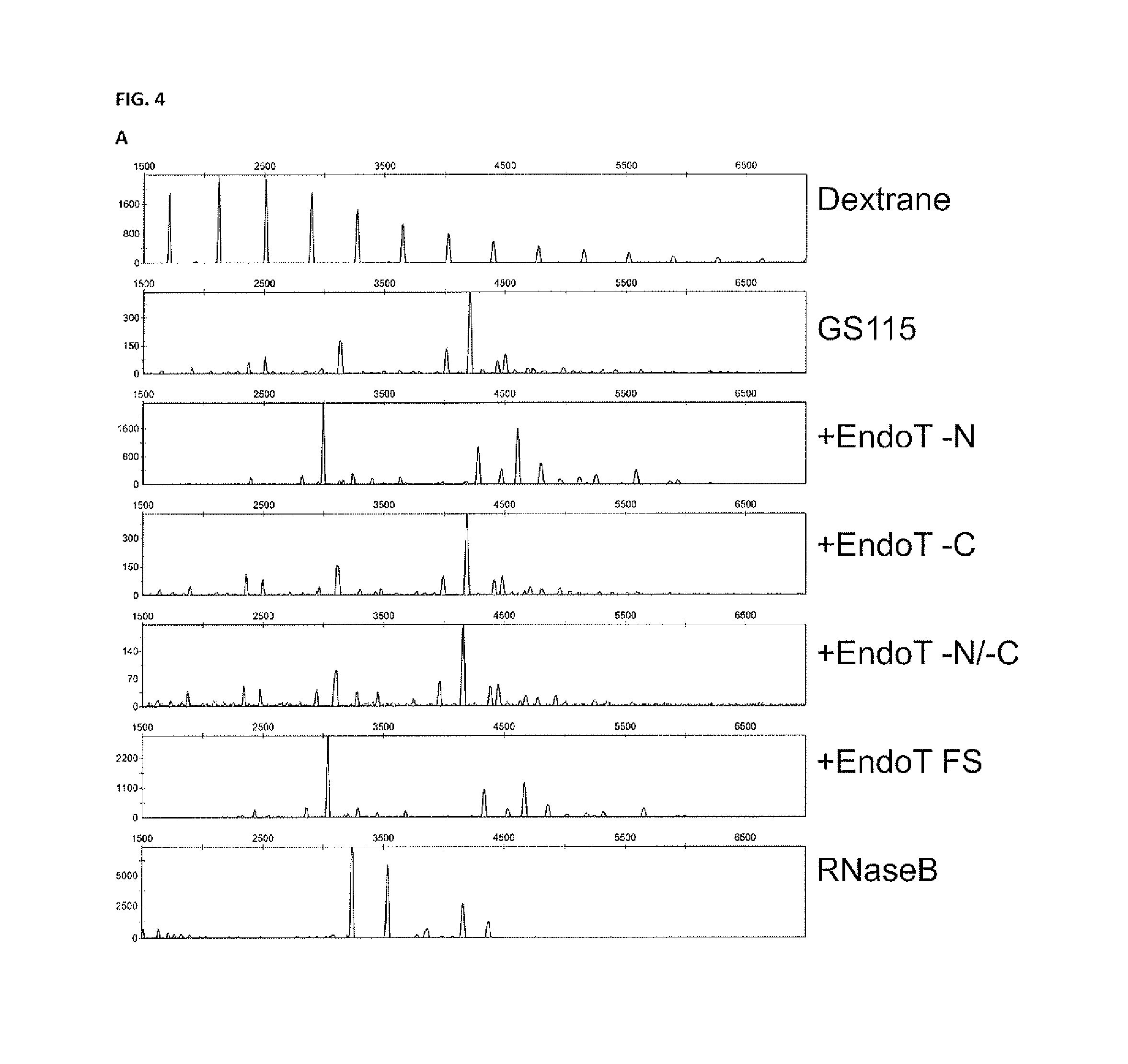 Cells producing glycoproteins having altered glycosylation patterns and method and use thereof
