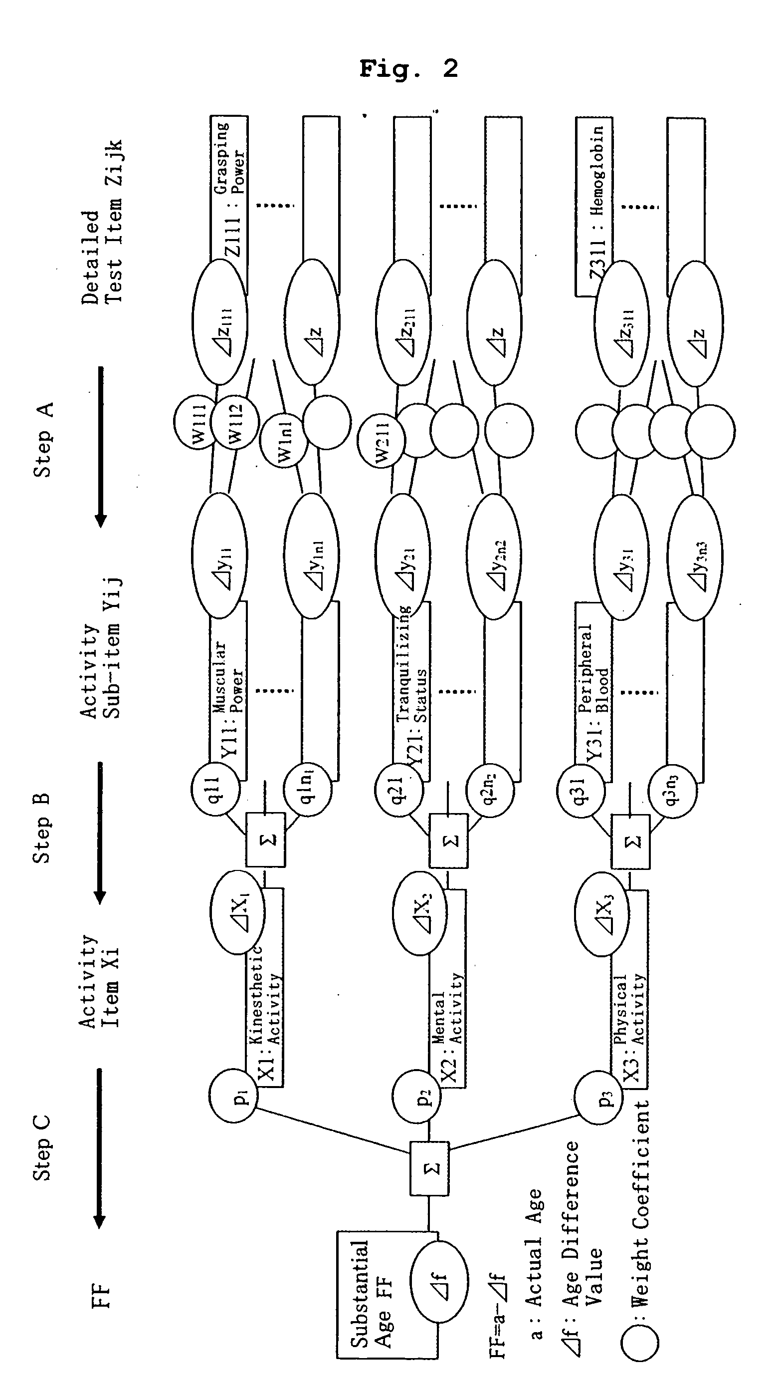 Age assessment apparatus and age assessment method