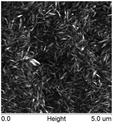 A kind of preparation method of cellulose nanocrystal