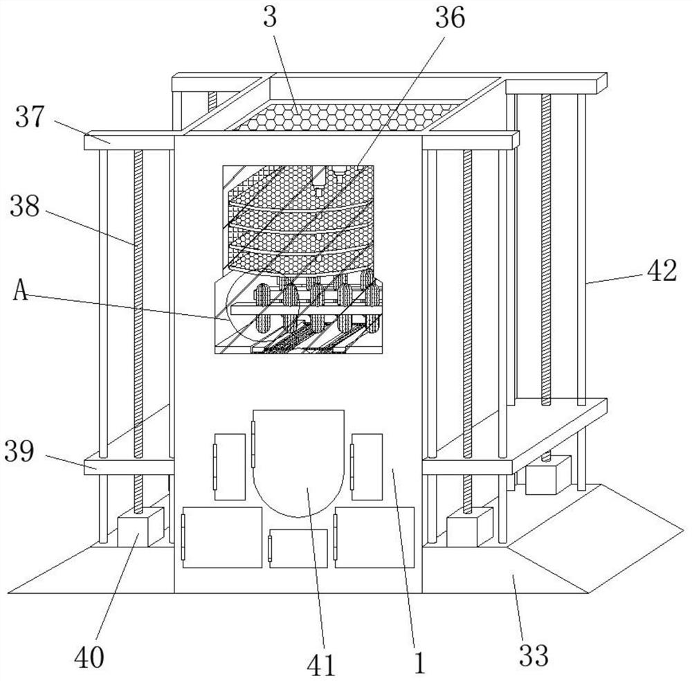 A rice seed impurity rapid screening device and screening method