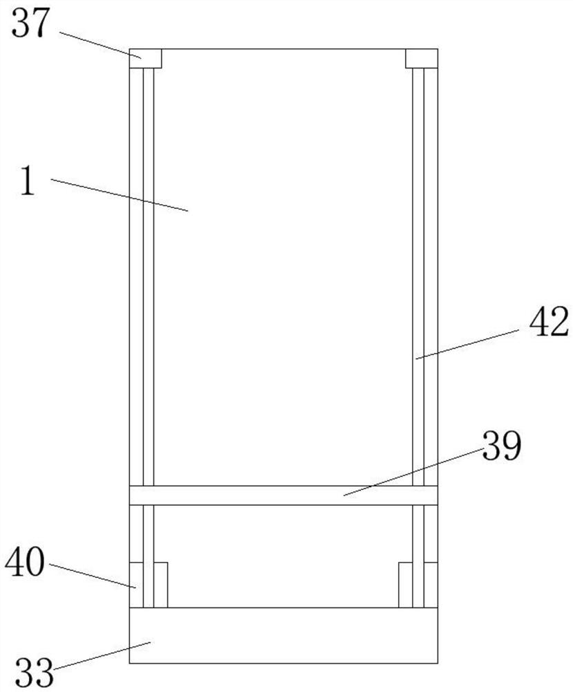 A rice seed impurity rapid screening device and screening method