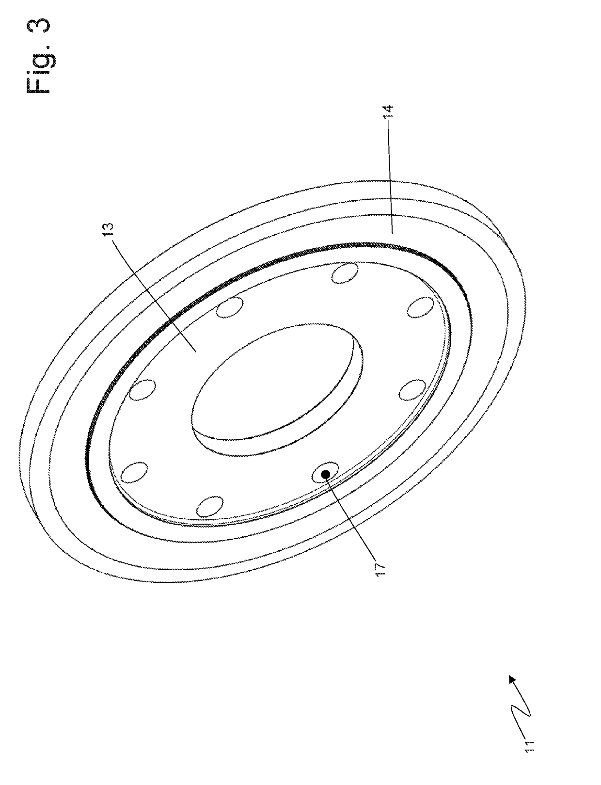 Rotor for a rotary electric machine