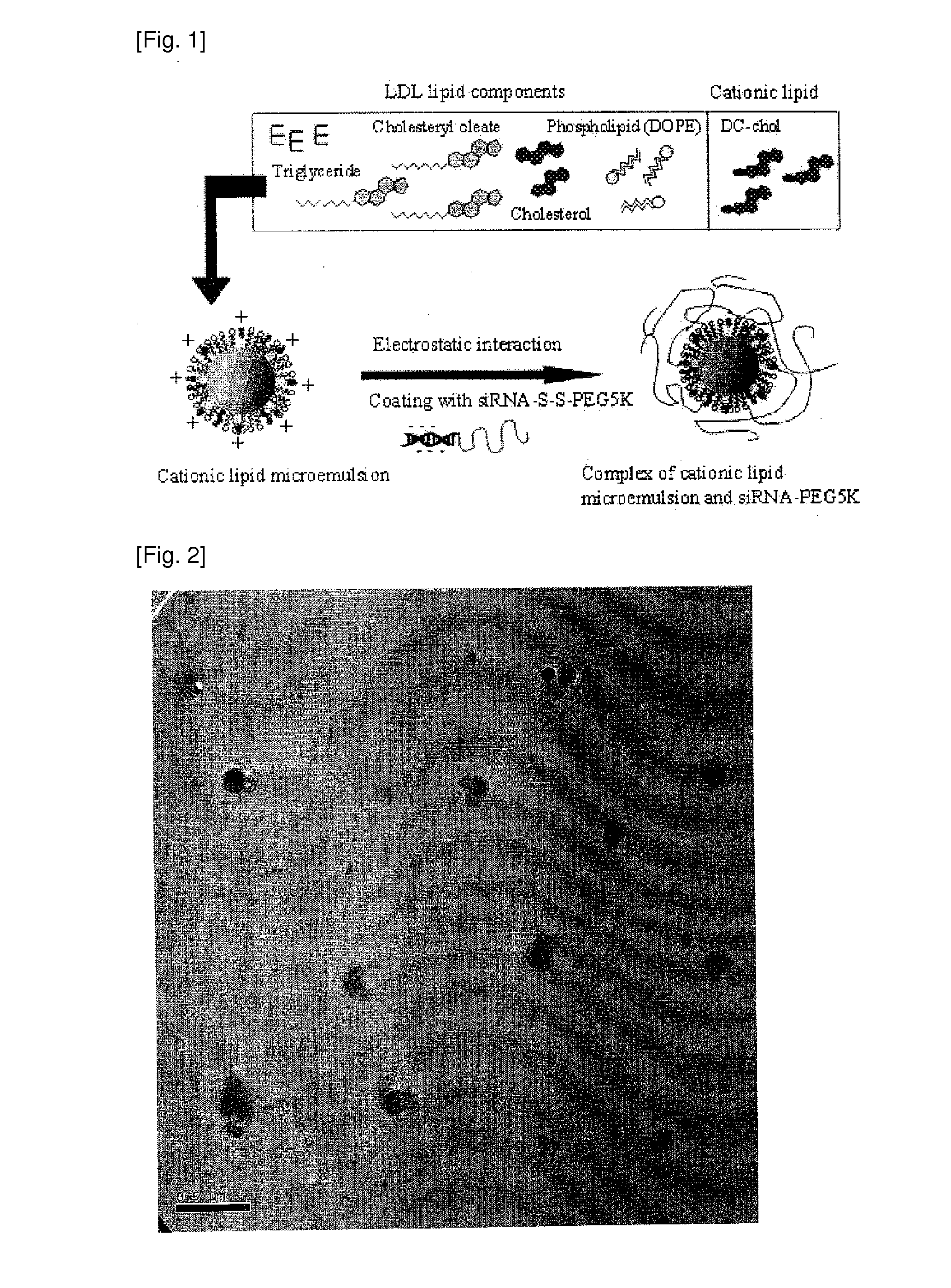 Ldl-like cationic nanoparticles for deliverying nucleic acid gene, method for preparing thereof and method for deliverying nucleic acid gene using the same