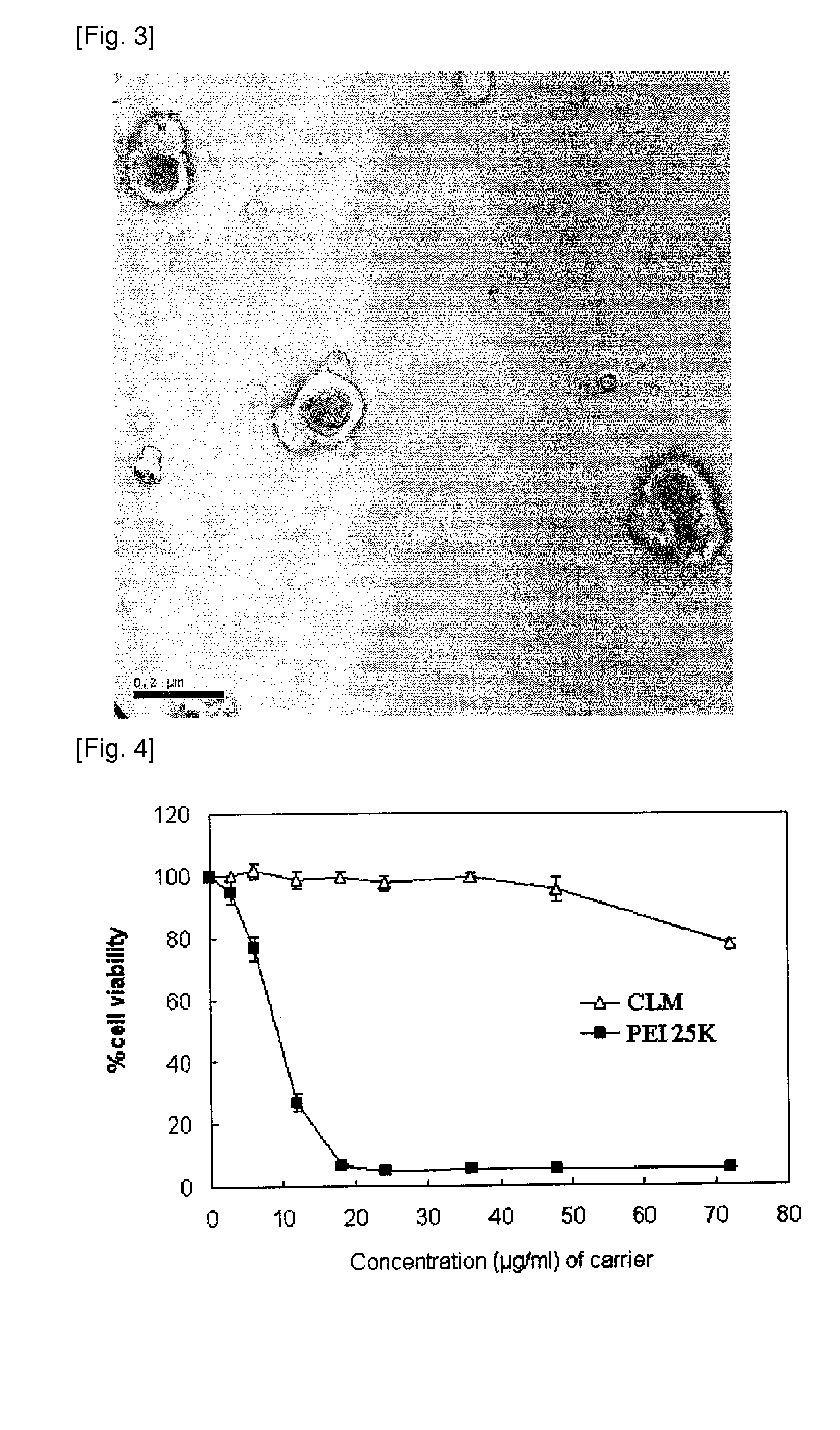 Ldl-like cationic nanoparticles for deliverying nucleic acid gene, method for preparing thereof and method for deliverying nucleic acid gene using the same