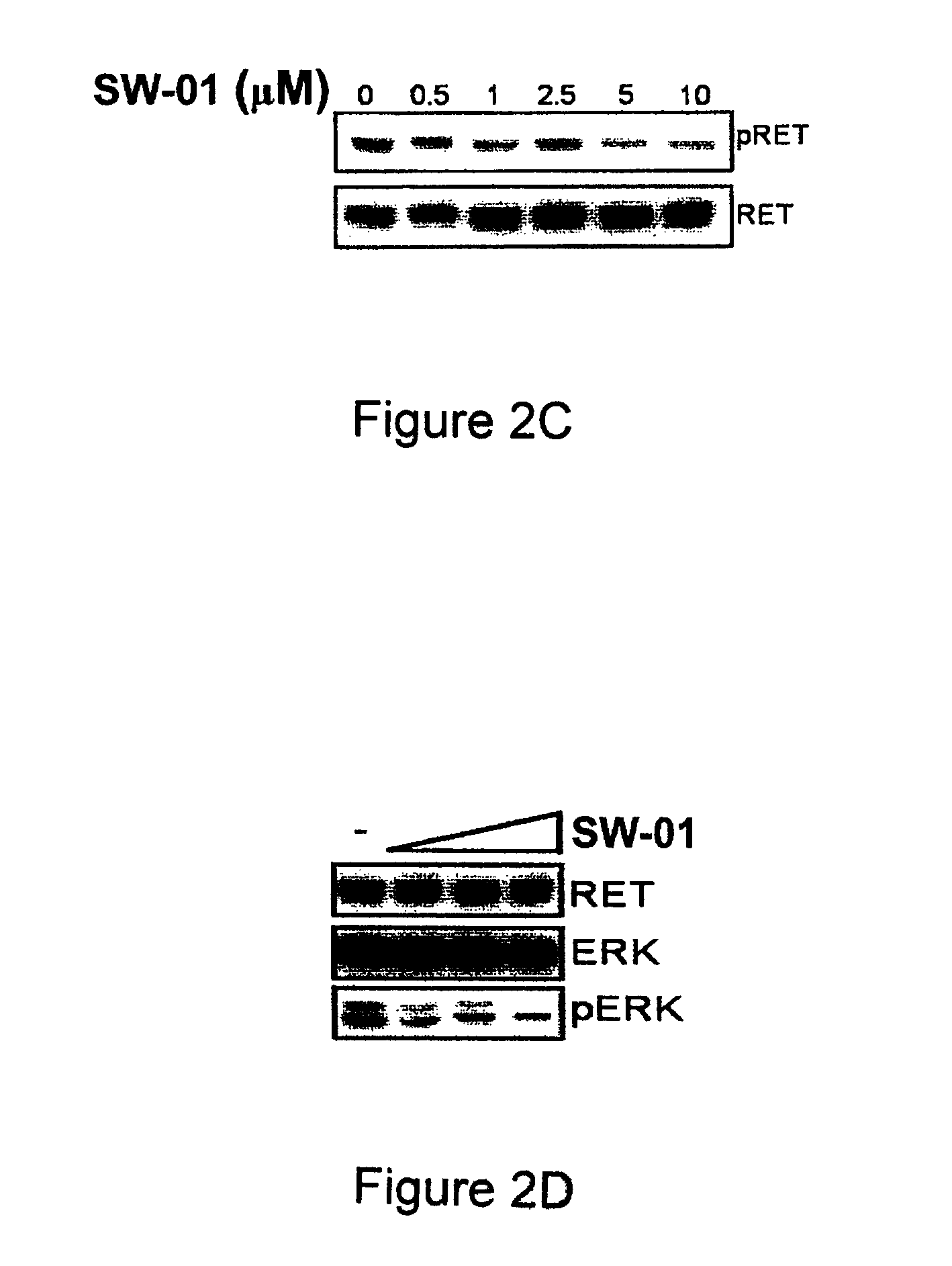 Pharmaceutical compositions comprising RET inhibitors and methods for the treatment of cancer