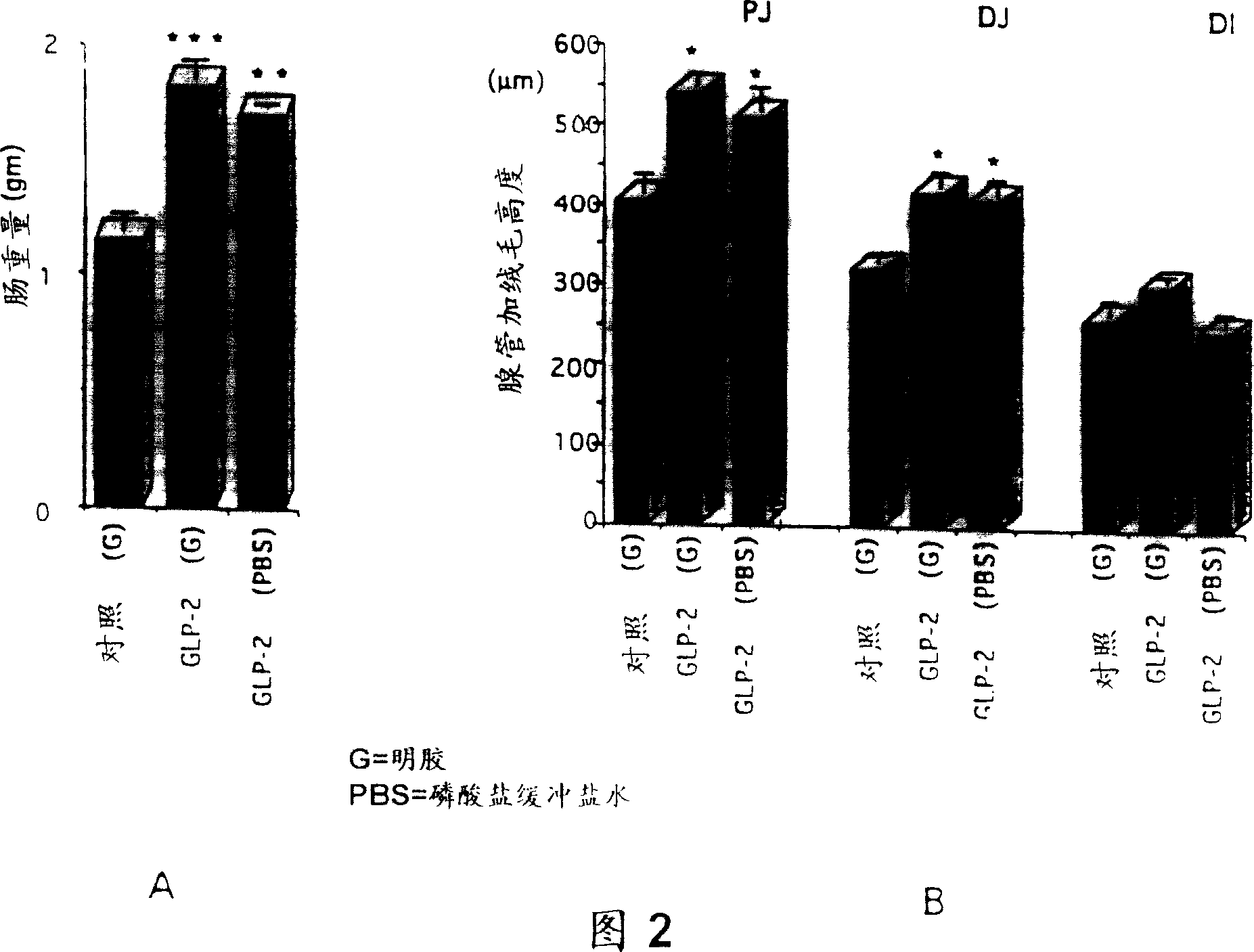 Glucagon-like peptide-2 and its therapeutic use