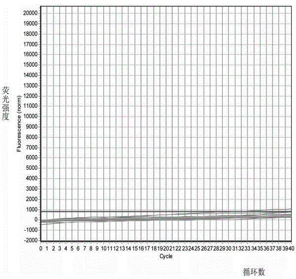 Method for preparing and detecting quick detection kit of raccoon component in foods and feeds