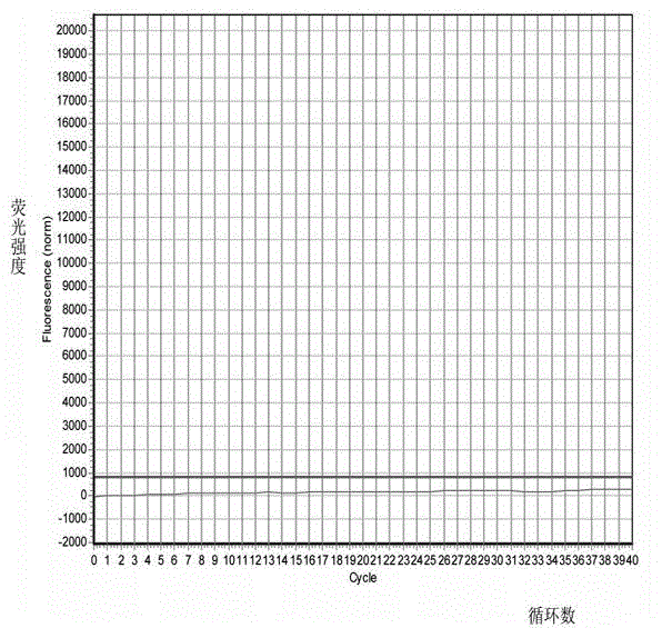 Method for preparing and detecting quick detection kit of raccoon component in foods and feeds