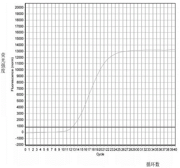 Method for preparing and detecting quick detection kit of raccoon component in foods and feeds