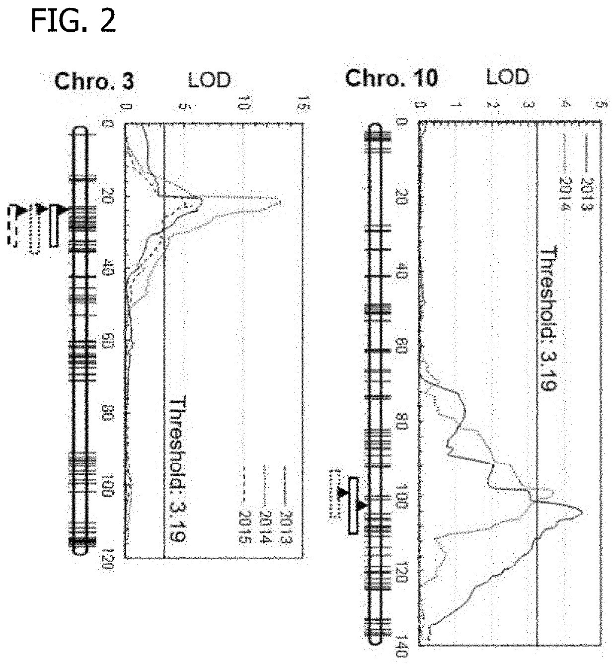 Small auxin upregulated (SAUR) gene for the improvement of root system architecture, waterlogging tolerance, drought resistance and yield in plants and methods of uses