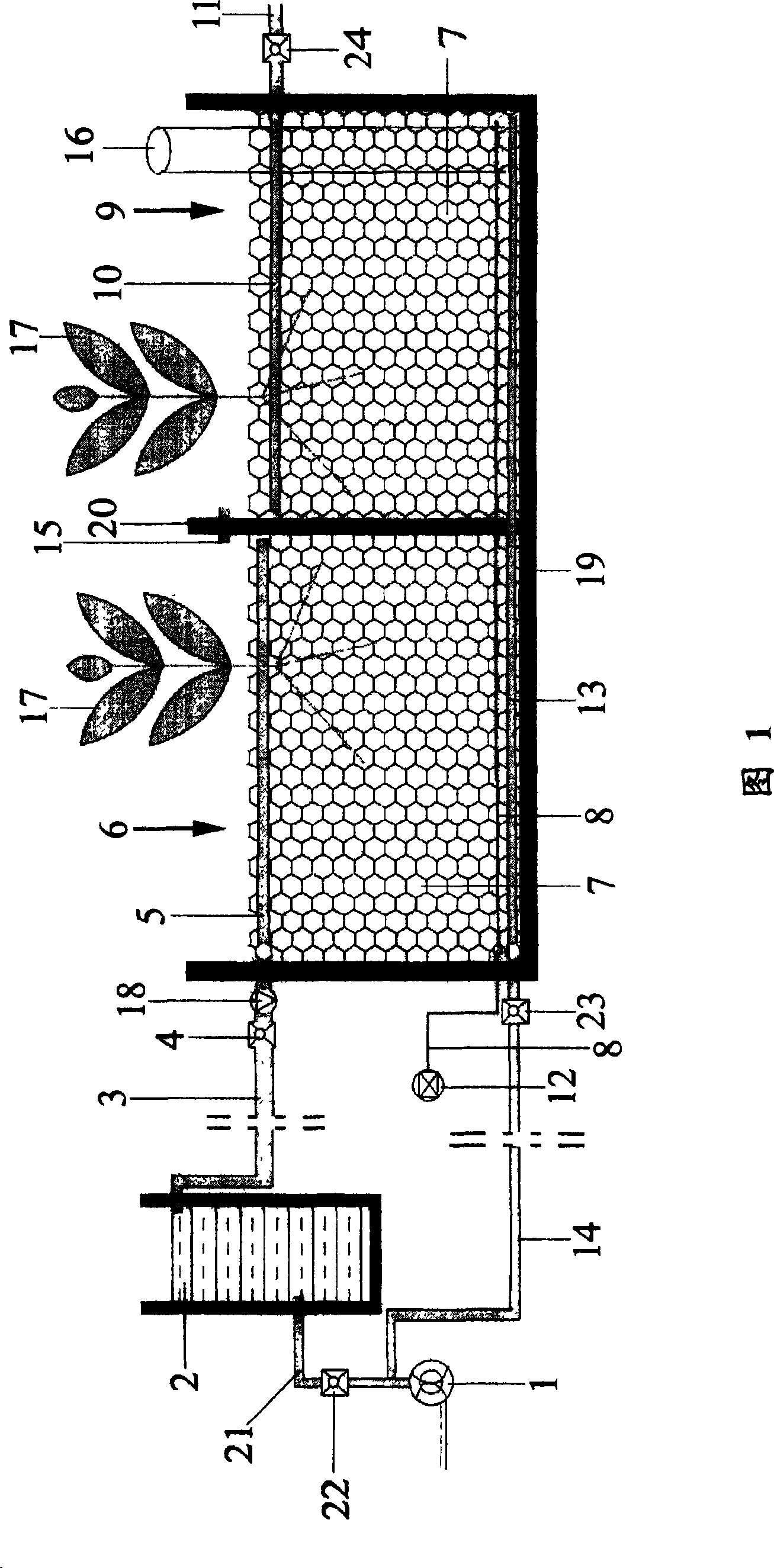 Backwash, aeration type undercurrent wetland water body purification apparatus and water body purification method