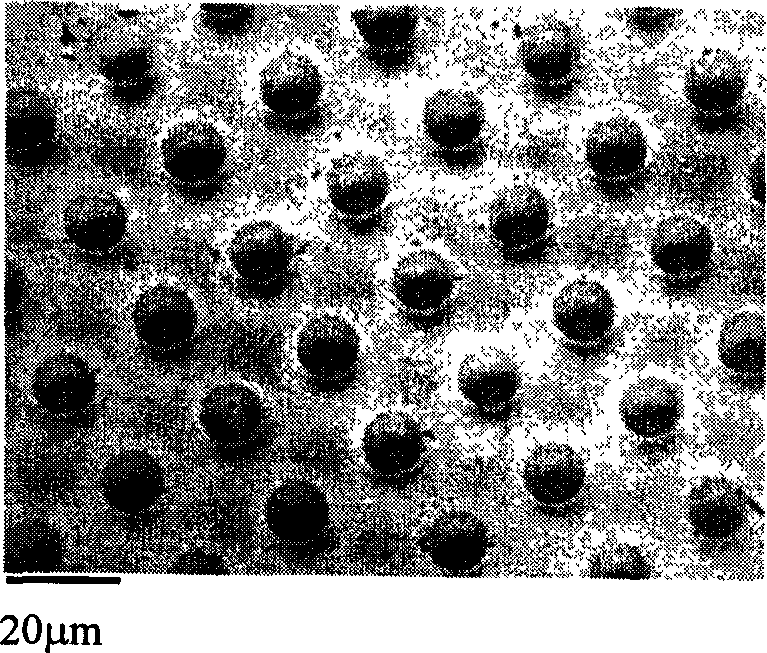 Preparation method of patterned titanium dioxide micro structure